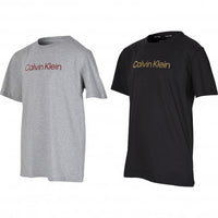 Calvin Klein-Boys 2-Pack Metallic Logo T-Shirts, Black/Grey-UNDERU