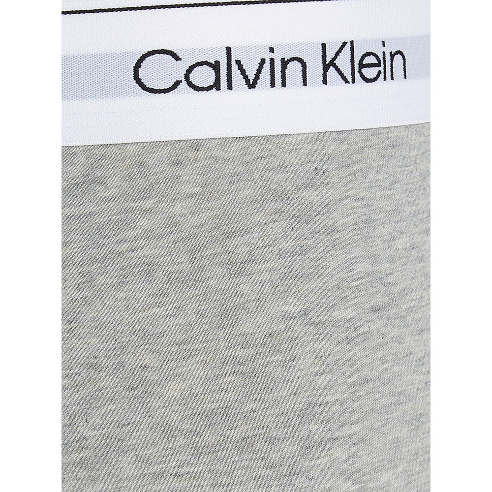 calvin-klein-mens-boxer-brief-logo-waistband