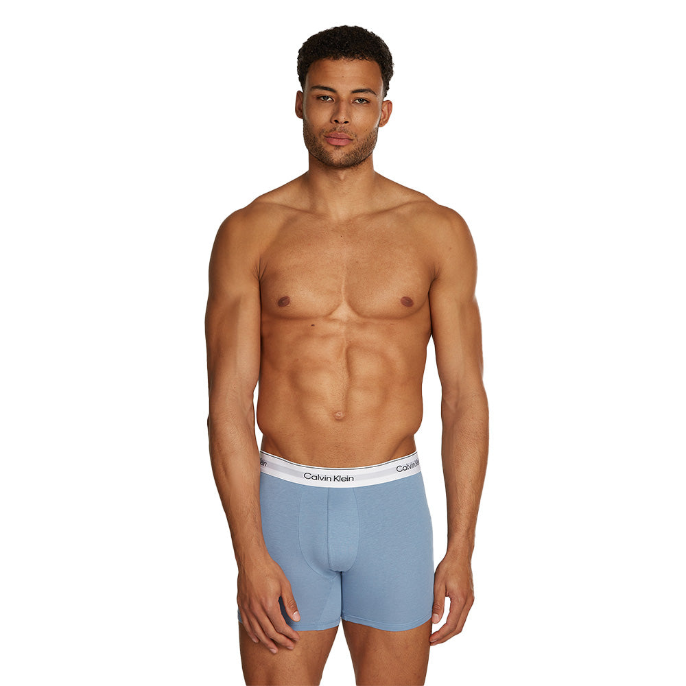 calvin-klein-mens-boxer-brief-blue