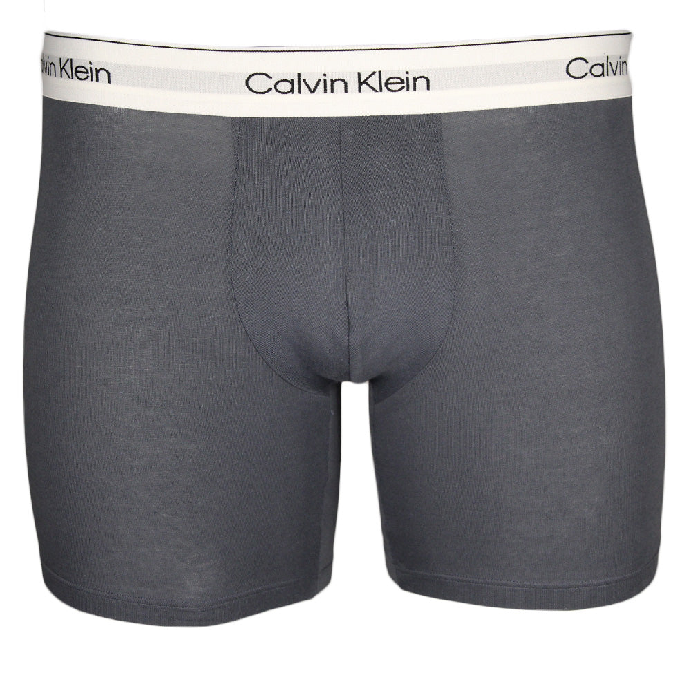 Dark grey Calvin Klein boxer brief