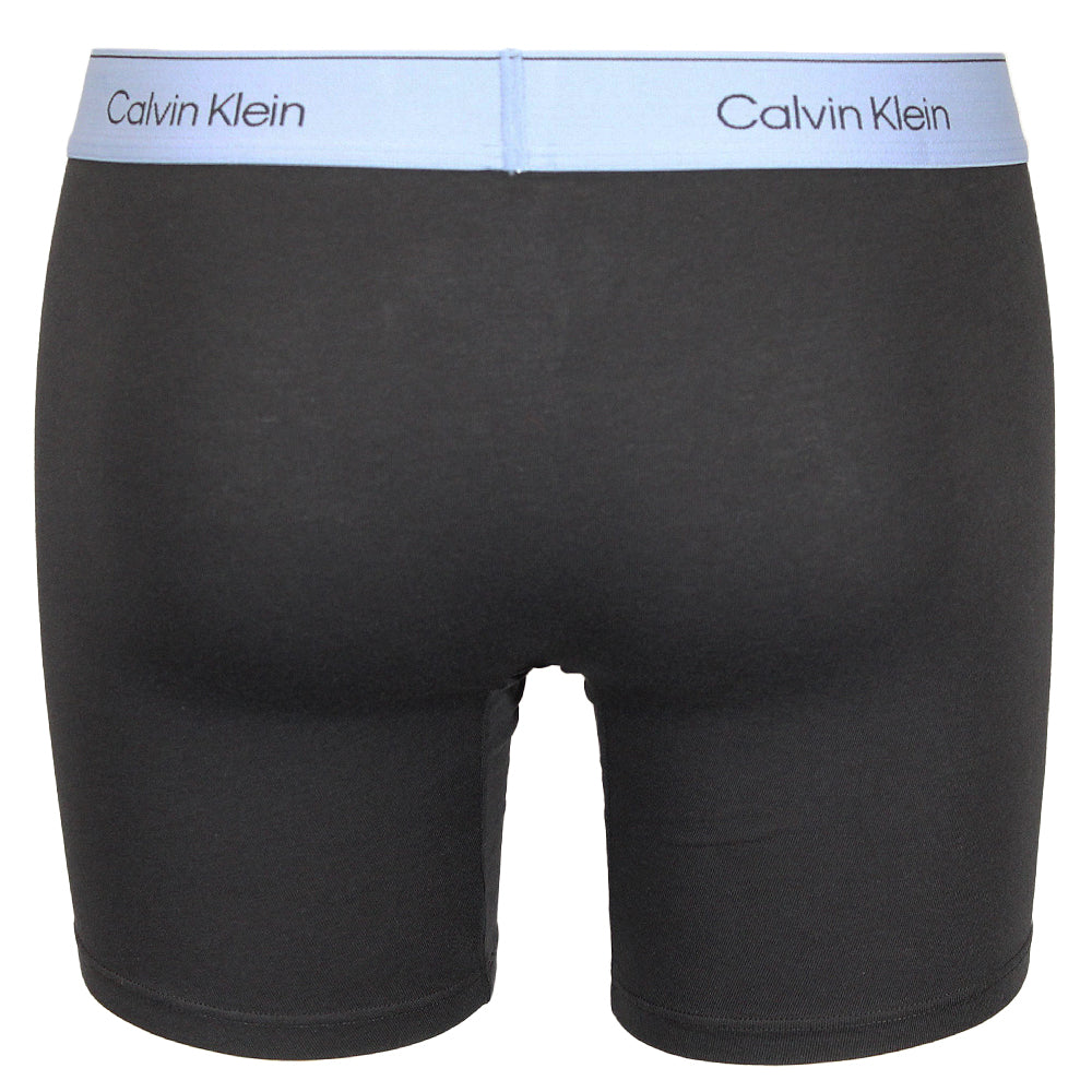 calvin-klein-mens-boxer-briefs-black-blue-back