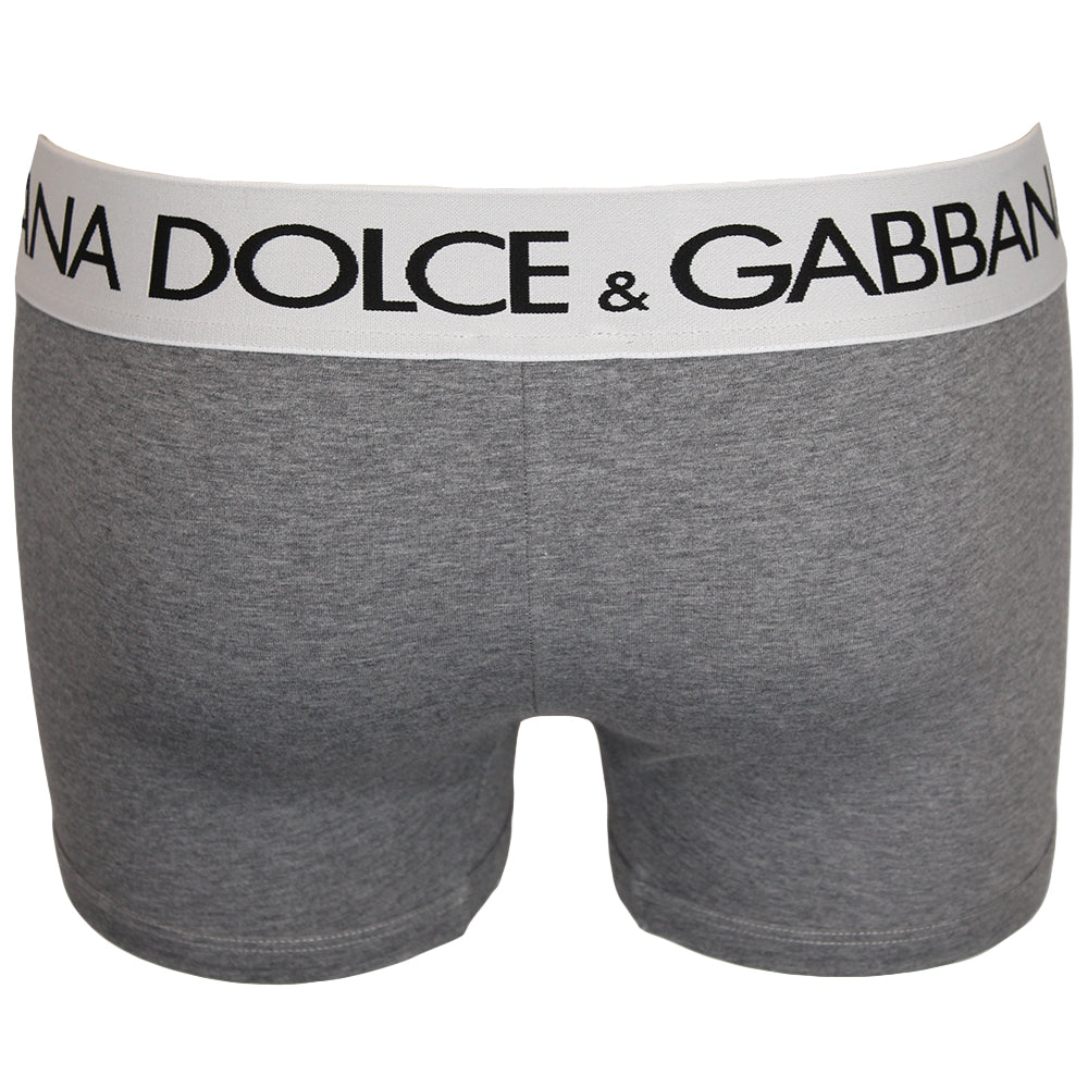 dolce-and-gabbana-mens-grey-boxer-trunks