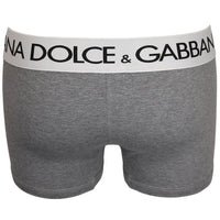 dolce-and-gabbana-mens-grey-boxer-trunks