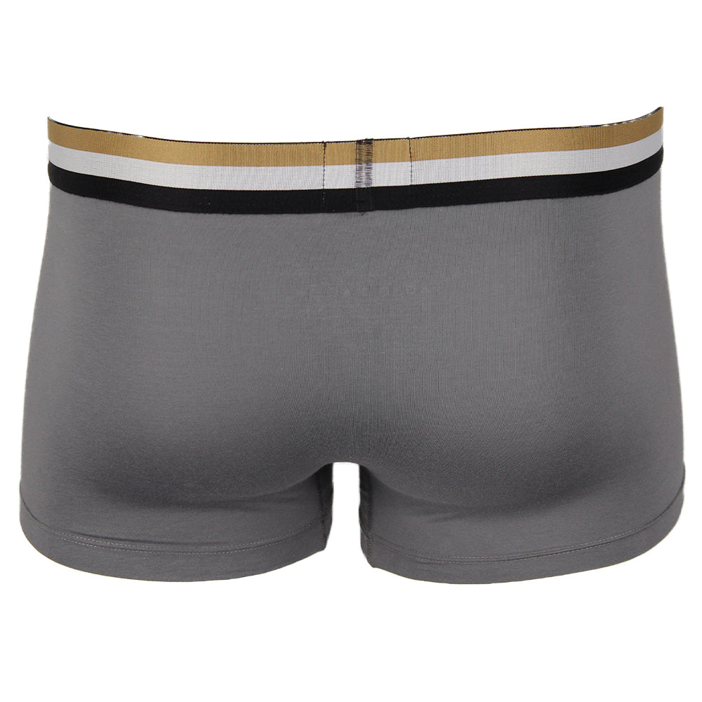 Grey Boss boxer trunk, back view