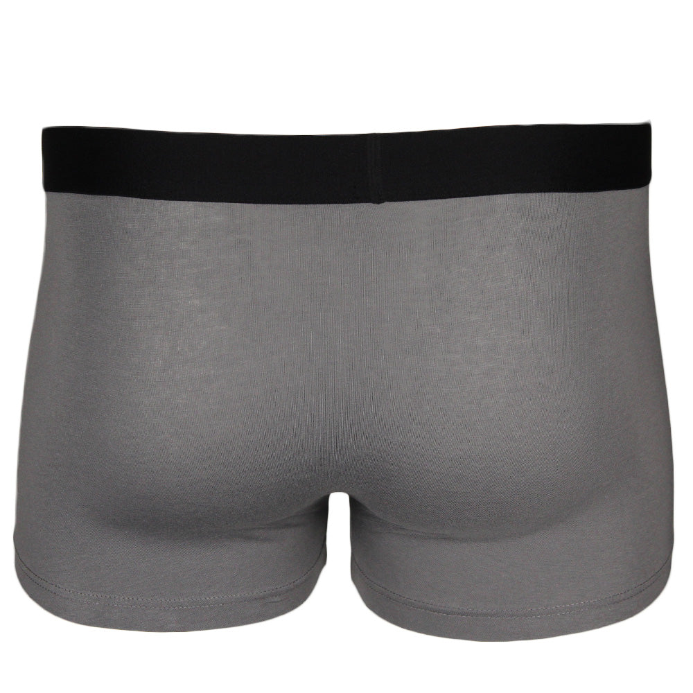 Grey Hugo patch logo boxer trunk, back view